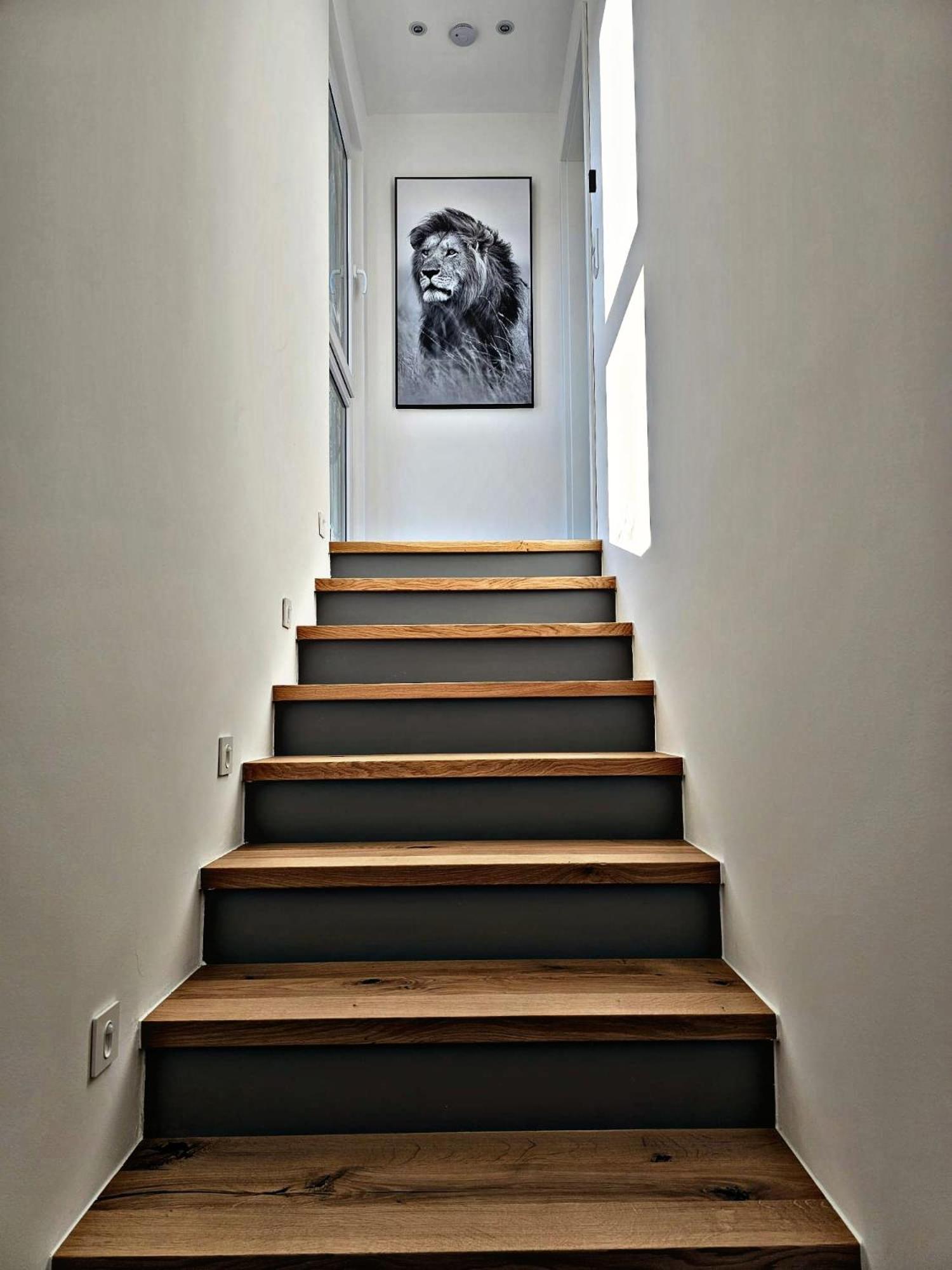 היידנהיים אן דר ברנץ Lions Place Premium Apartments Comfort Optionaler Zugang Zum Spa- Bereich מראה חיצוני תמונה