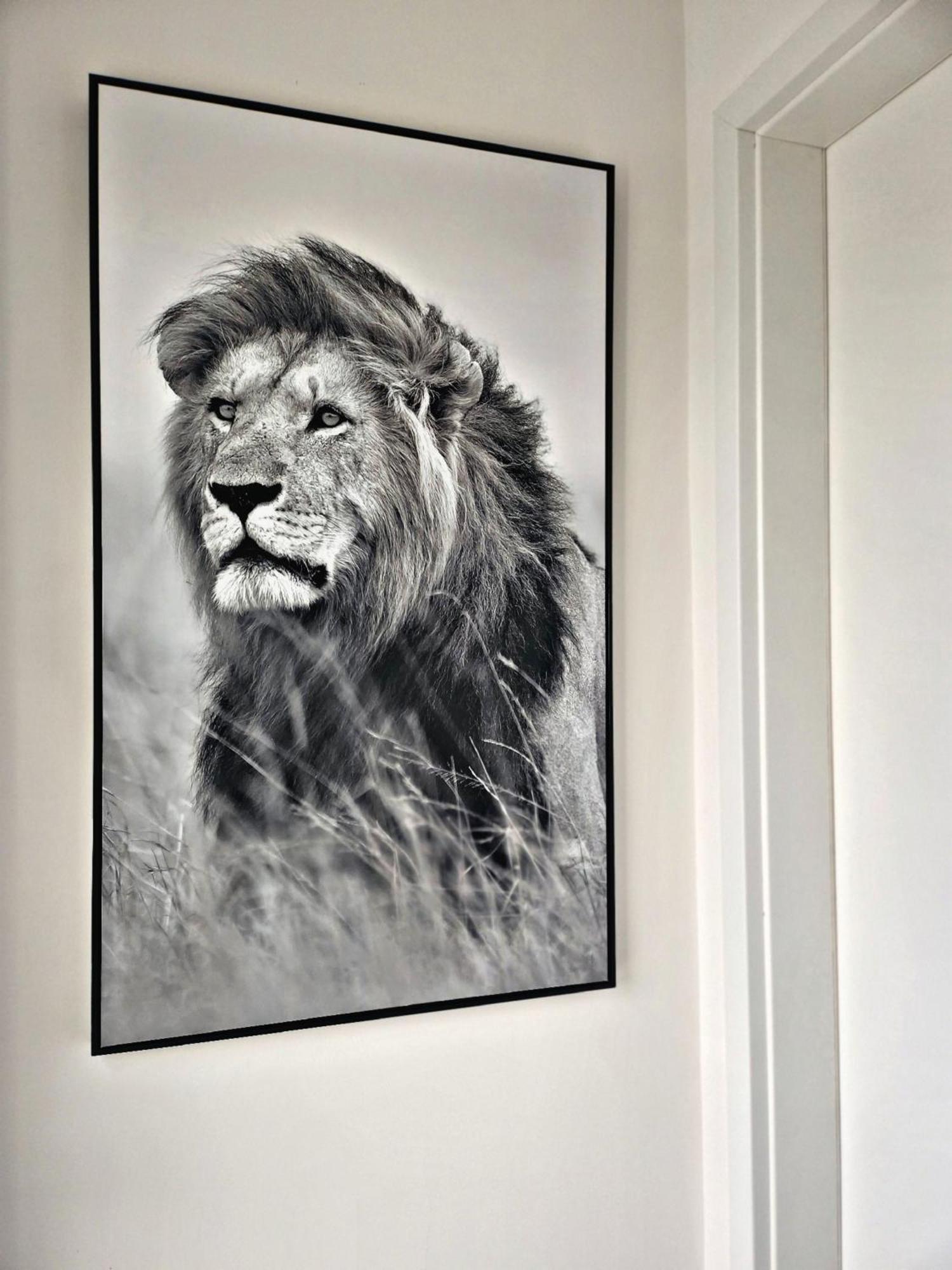 היידנהיים אן דר ברנץ Lions Place Premium Apartments Comfort Optionaler Zugang Zum Spa- Bereich מראה חיצוני תמונה